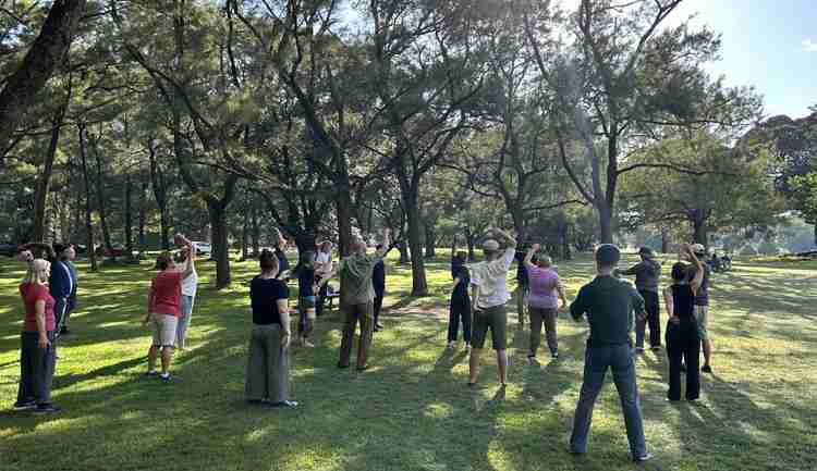 Tai-Chi + Qigong